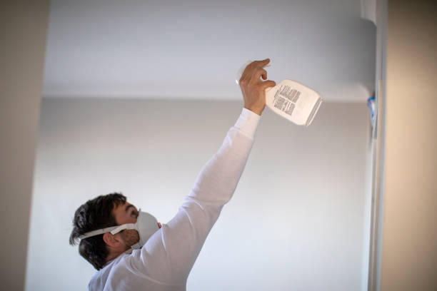 Best Certified Mold Removal  in Ocean City, NJ