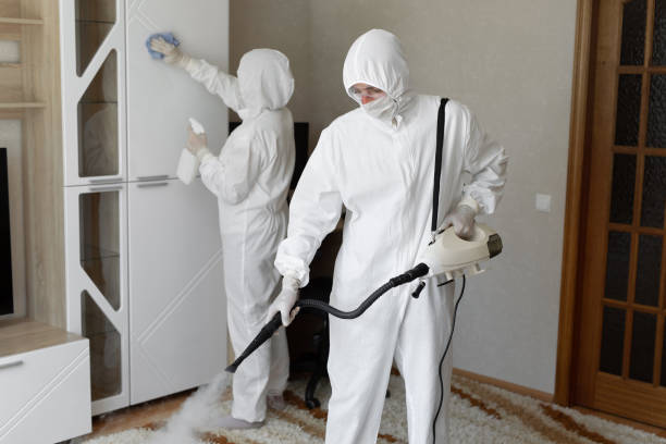 Best Toxic Mold Removal  in Ocean City, NJ