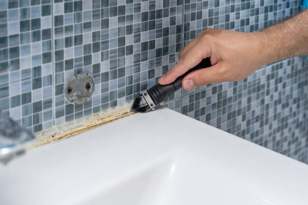 Best Mold Testing  in Ocean City, NJ