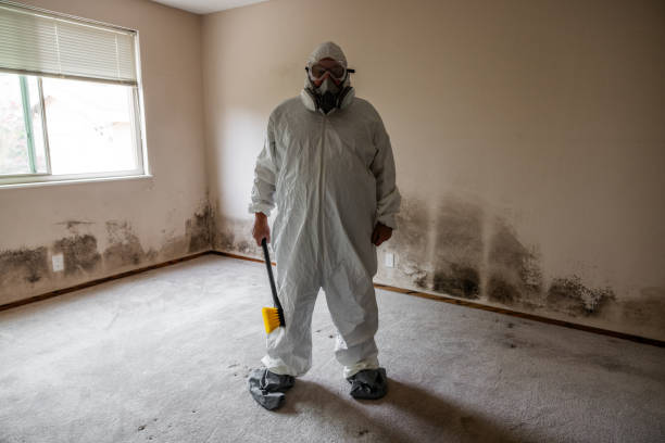 Best Crawl Space Mold Removal  in Ocean City, NJ